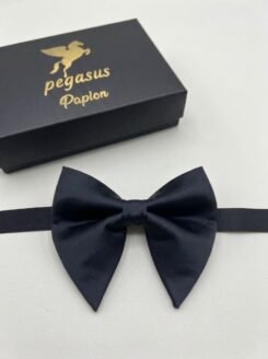 02- Elegant Men’s Bow Tie with white handkerchief