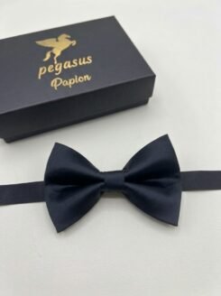 01- Elegant Men’s Bow Tie with white handkerchief