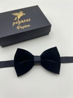 09- Elegant Men’s Bow Tie with white handkerchief