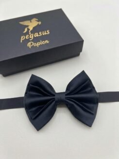 04- Elegant Men’s Bow Tie with white handkerchief