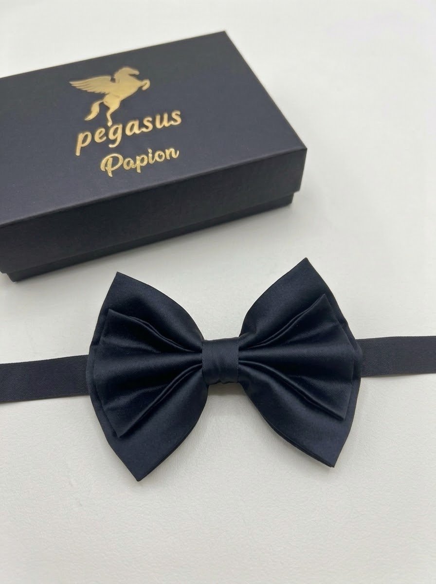 04- Elegant Men’s Bow Tie with white handkerchief