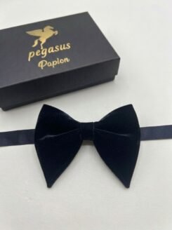 08- Elegant Men’s Bow Tie with white handkerchief