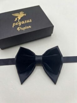 07- Elegant Men’s Bow Tie with white handkerchief