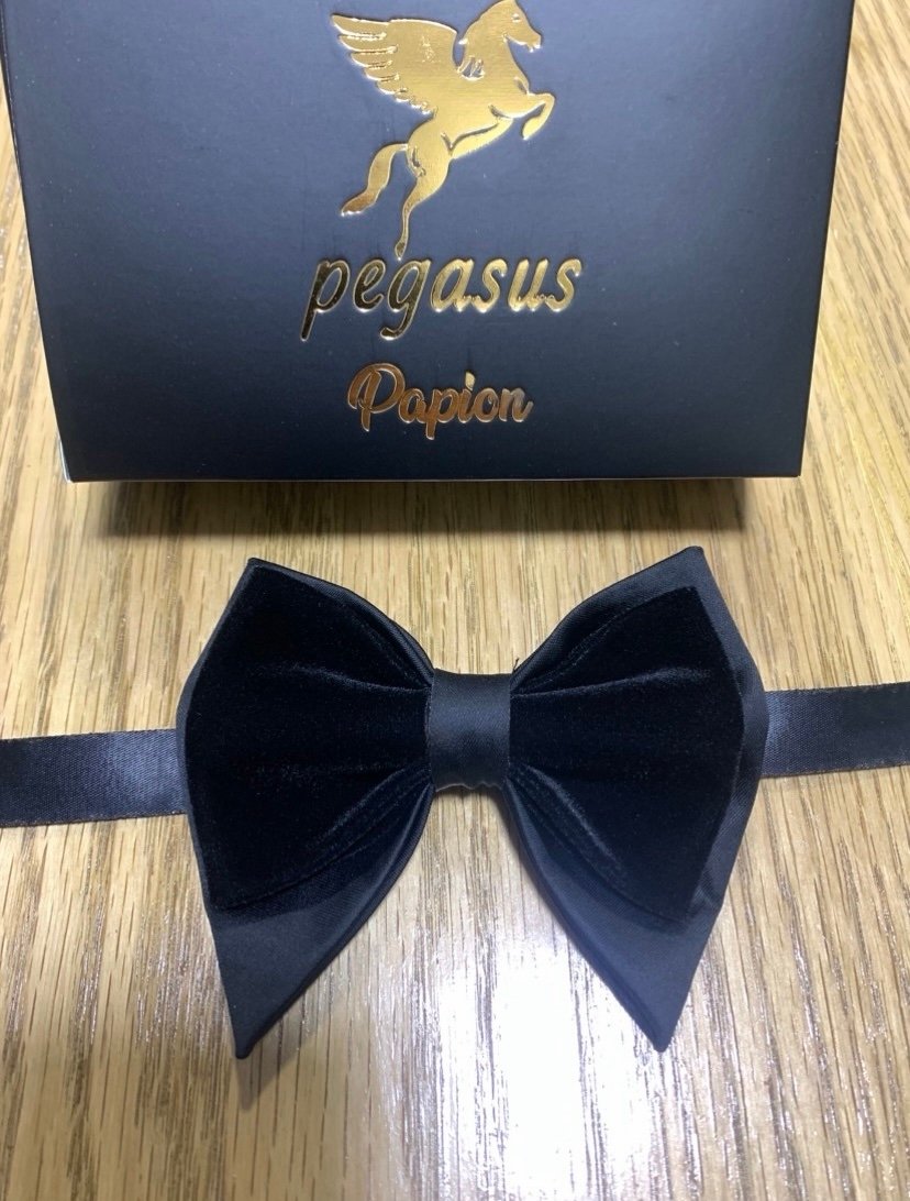Elegant Men’s Bow Tie with white handkerchief