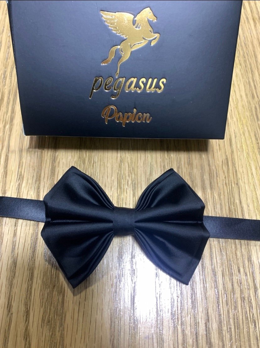Elegant Men’s Bow Tie with white handkerchief